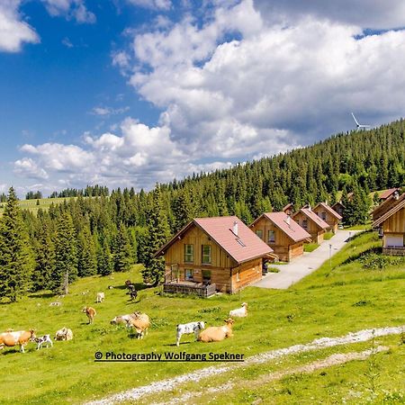 Beautiful Holiday Home In Weinebene With Sauna Posch Alpe Ngoại thất bức ảnh