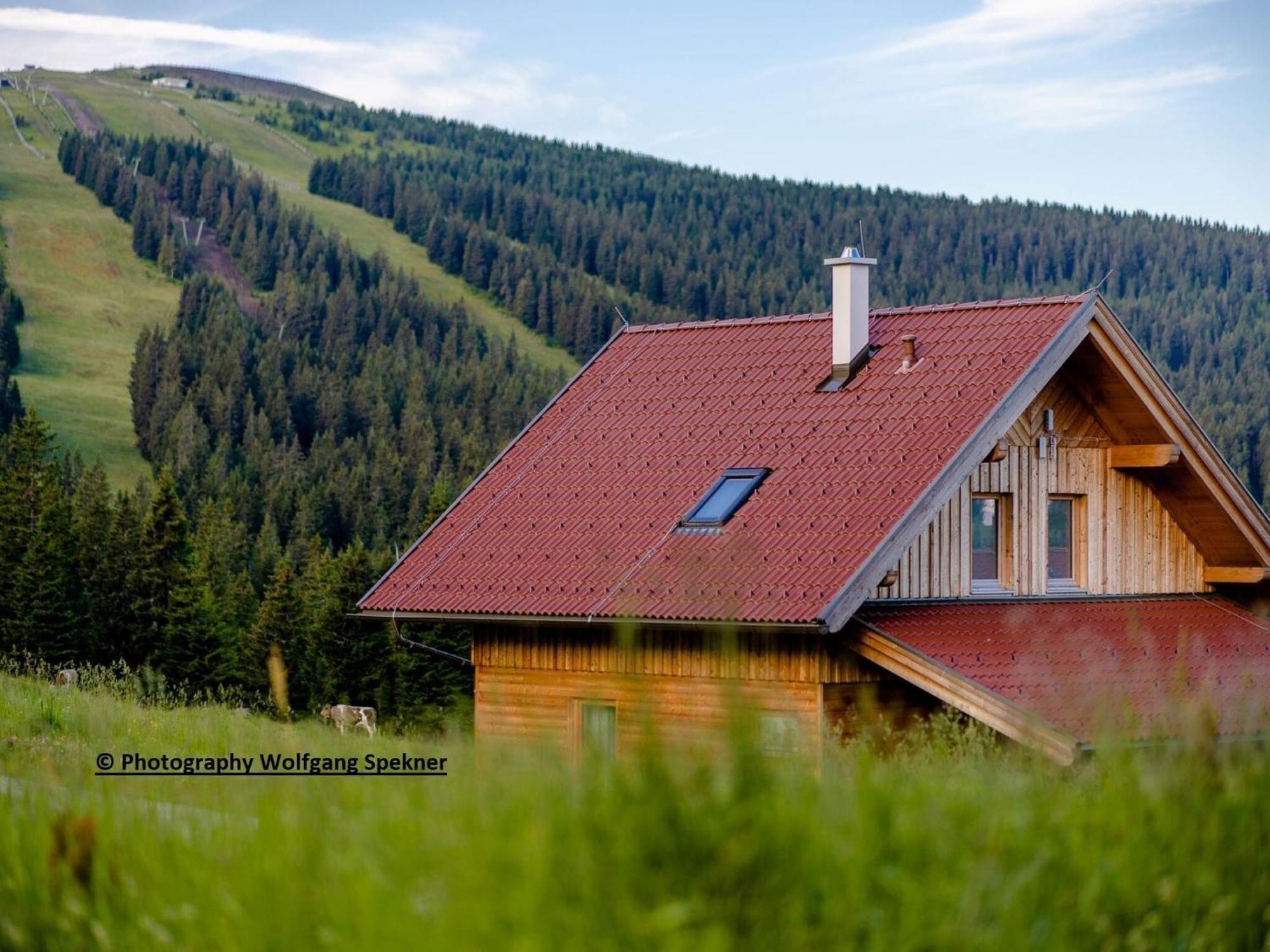 Beautiful Holiday Home In Weinebene With Sauna Posch Alpe Ngoại thất bức ảnh