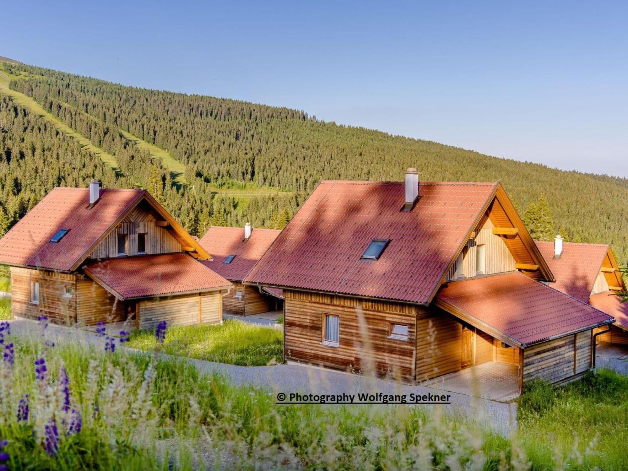 Beautiful Holiday Home In Weinebene With Sauna Posch Alpe Ngoại thất bức ảnh