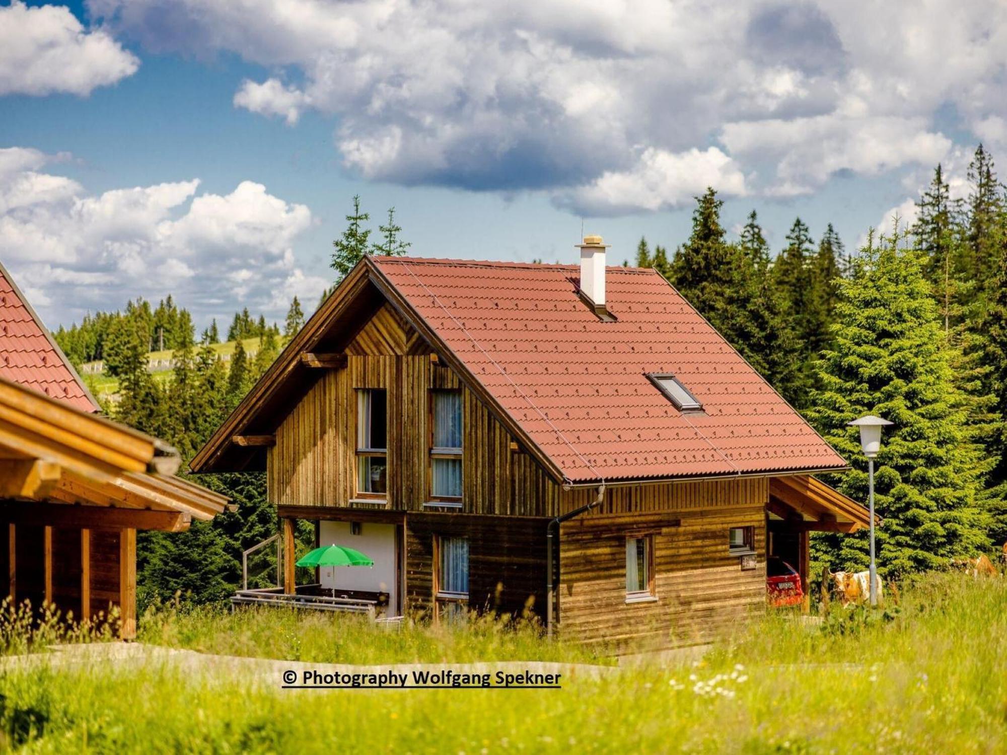 Beautiful Holiday Home In Weinebene With Sauna Posch Alpe Ngoại thất bức ảnh