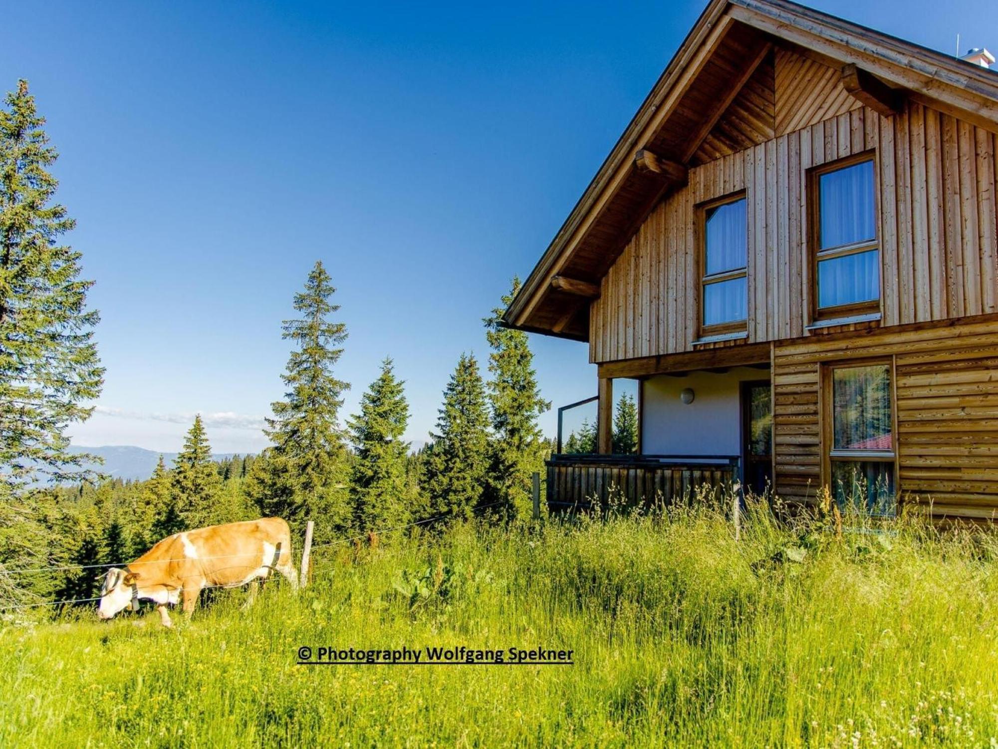 Beautiful Holiday Home In Weinebene With Sauna Posch Alpe Ngoại thất bức ảnh