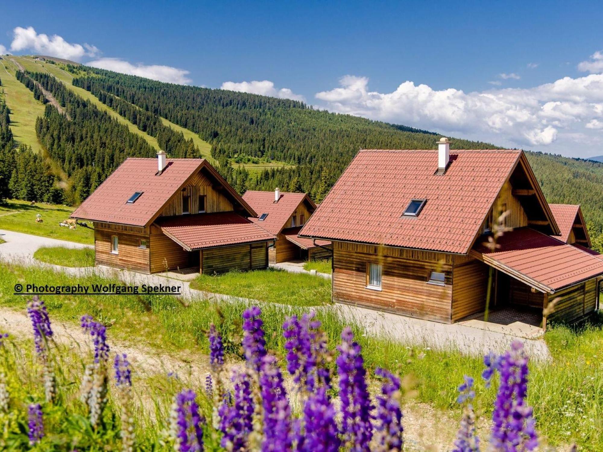 Beautiful Holiday Home In Weinebene With Sauna Posch Alpe Ngoại thất bức ảnh