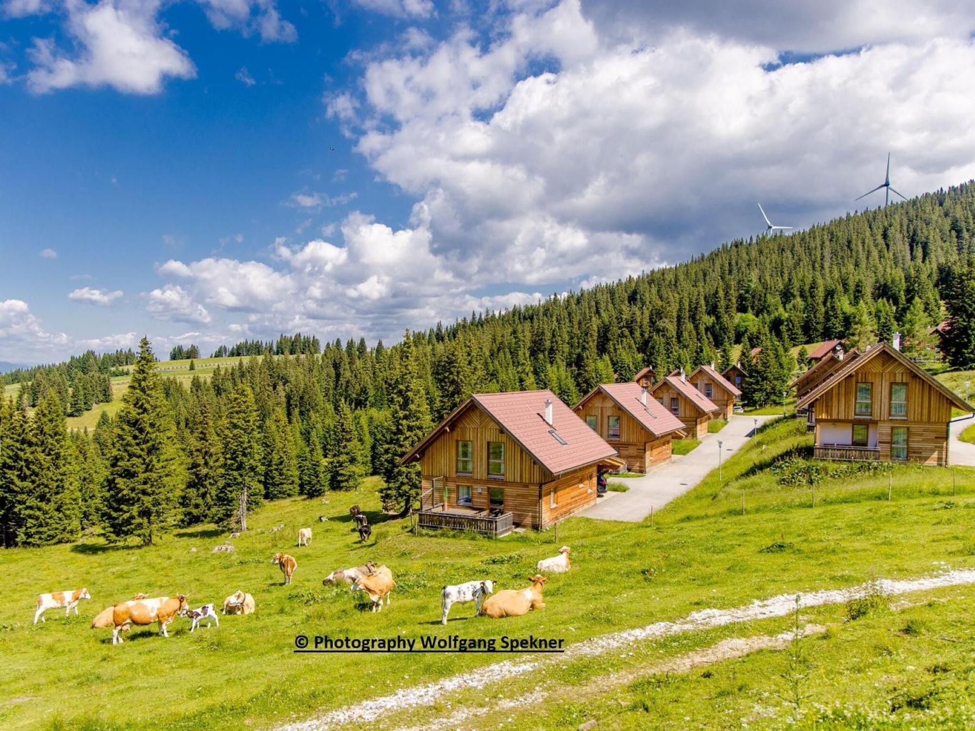 Beautiful Holiday Home In Weinebene With Sauna Posch Alpe Ngoại thất bức ảnh