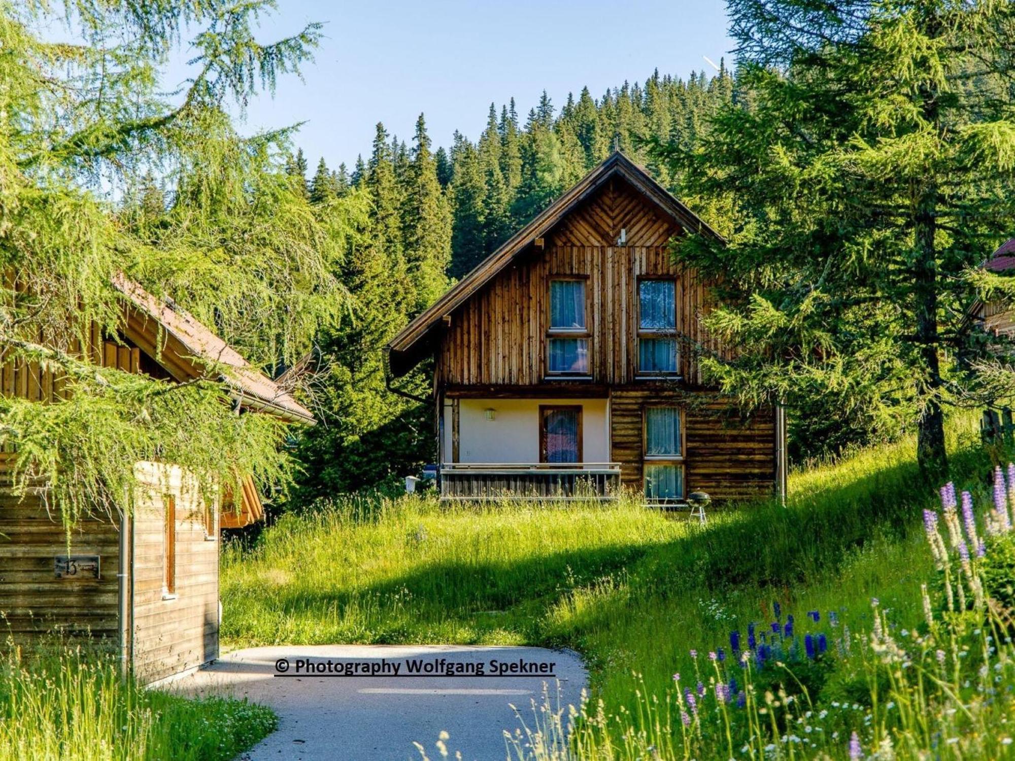 Beautiful Holiday Home In Weinebene With Sauna Posch Alpe Ngoại thất bức ảnh